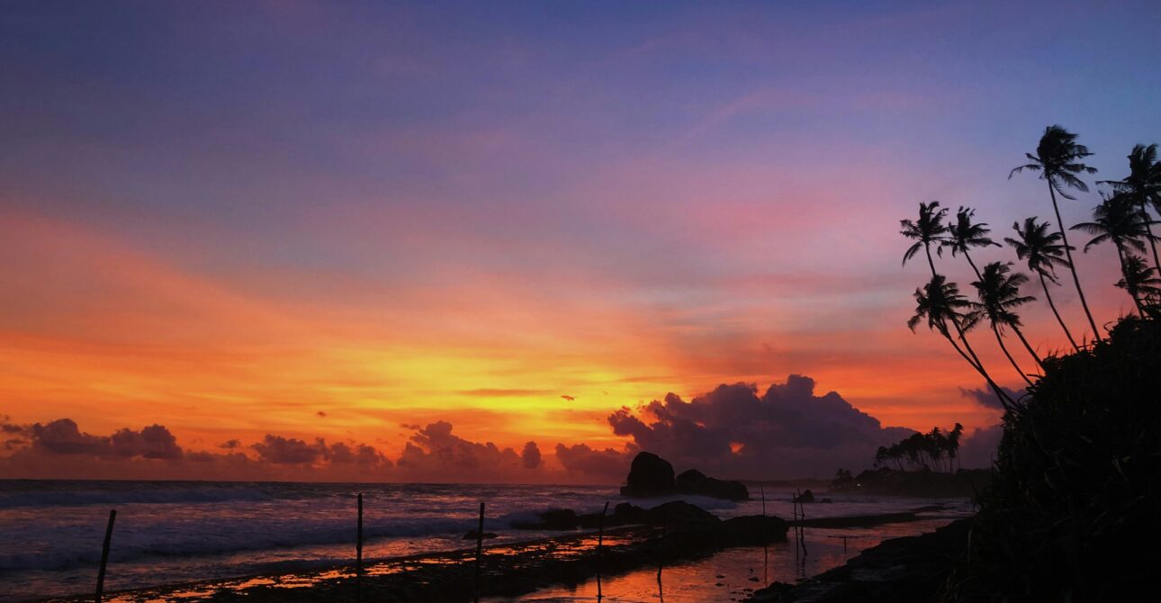 🌤️ Travel to Sri Lanka by Season: When to Visit Paradise
