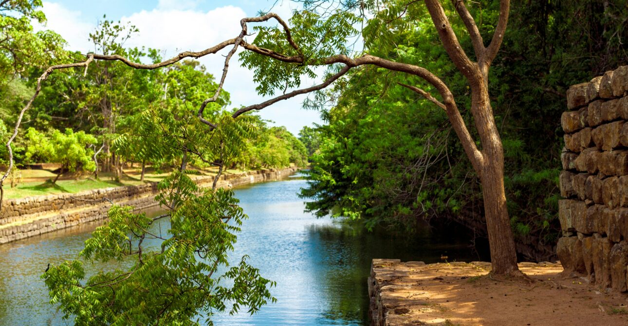 ✨ Why Book a Private Tour in Sri Lanka?