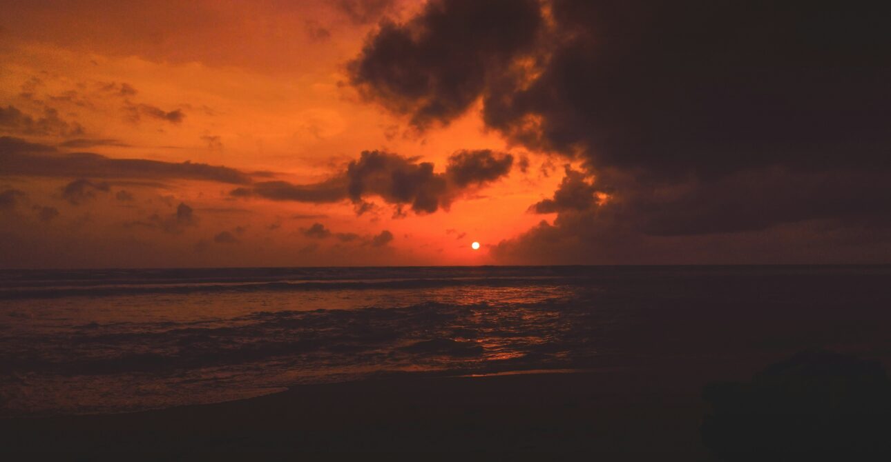 🌴 Why Sri Lanka Should Be Your Next Travel Destination 🌏